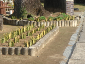 Dsc08851
