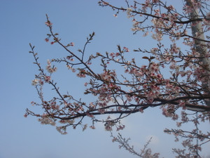 Dsc09769