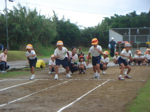 Dsc01247