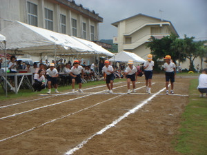 Dsc01252