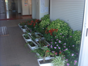 Dsc01405