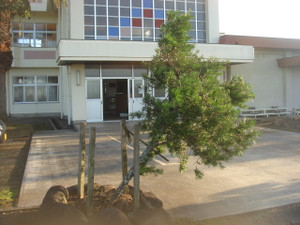 Dsc01406