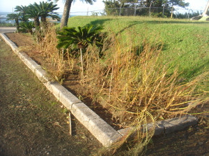 Dsc01408