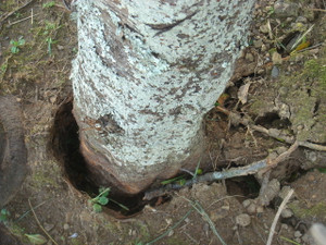 Dsc01409