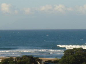Dsc01411