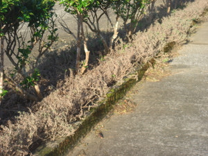 Dsc01413