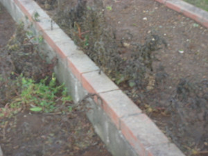 Dsc01417