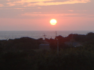 Dsc01437