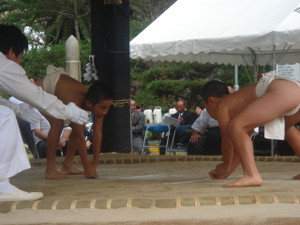 Dsc01768