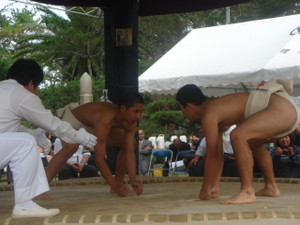 Dsc01774