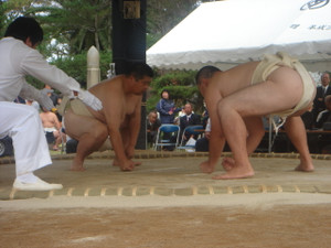 Dsc01779