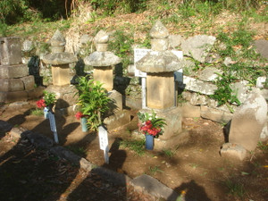 Dsc01896