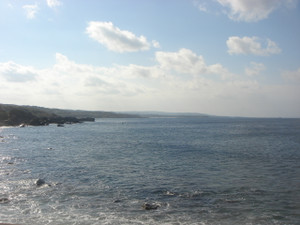 Dsc01920