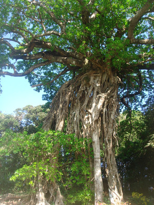 Dsc01932