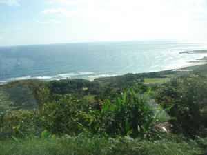 Dsc01949