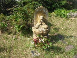 Dsc01950