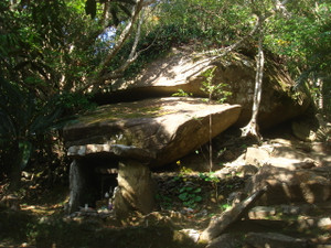 Dsc01953