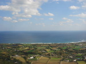 Dsc01965