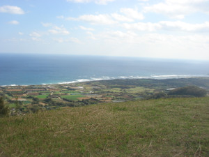 Dsc01968