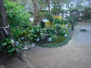 Dsc01981