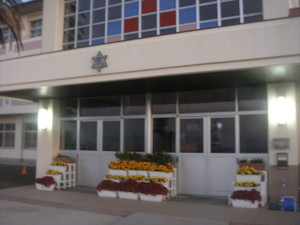Dsc02267