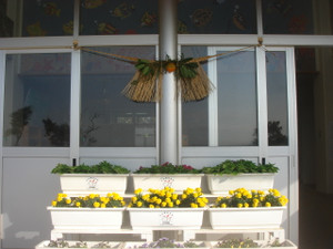 Dsc02369