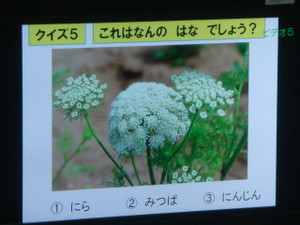 Dsc02581
