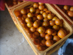 Dsc02741