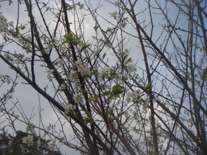 Dsc03357