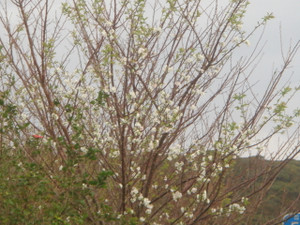 Dsc03360
