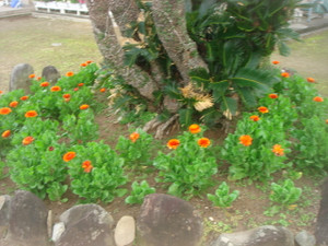 Dsc03368