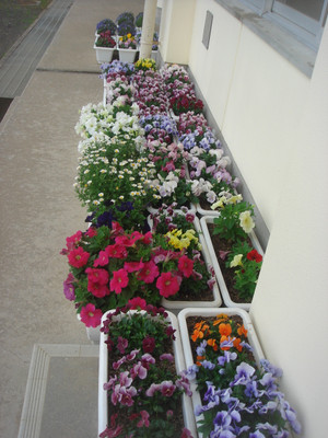 Dsc03376