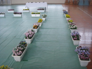 Dsc03418