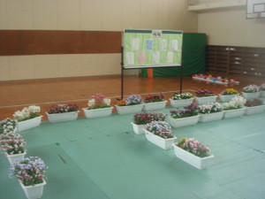 Dsc03634