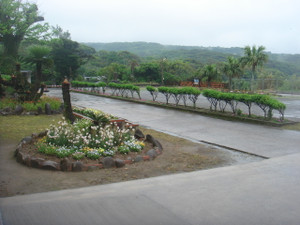 Dsc03978
