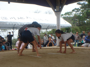 Dsc04313