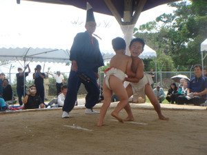 Dsc04334