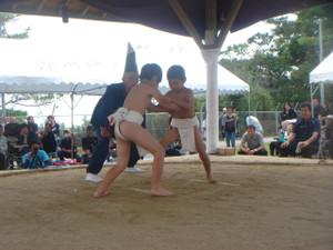 Dsc04337