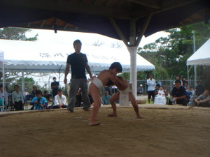 Dsc04411