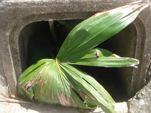 Dsc04514