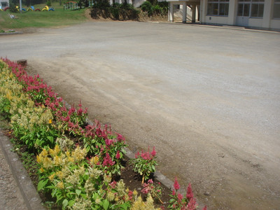 Dsc05687