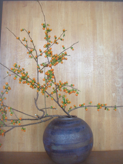 Dsc05861