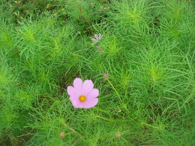 Dsc05970