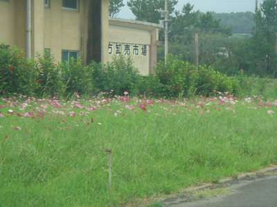 Dsc06496