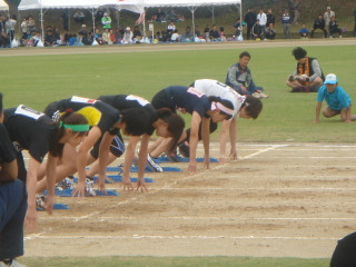 Dsc06785_2