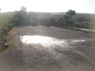 Dsc07054