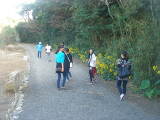Dsc07715