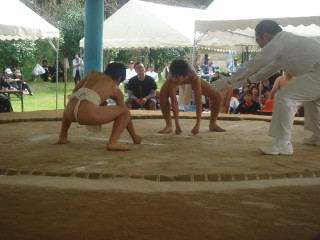 Dsc07738