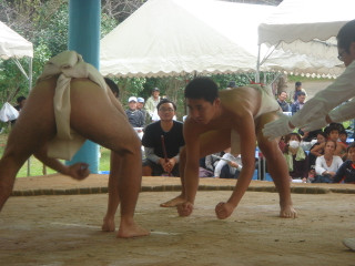 Dsc07741