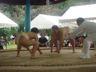 Dsc07742